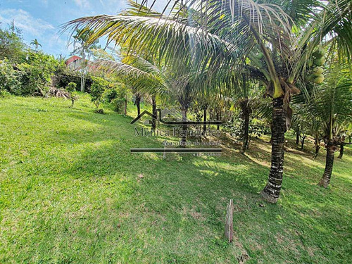 Imagem 10 de 15 de Terreno À Venda Em Balneário Bambuí (ponta Negra), Região Dos Lagos,maricá 1050m², Com Benfeitorias. - T98