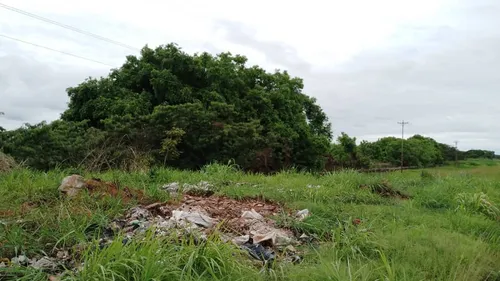 Terreno 10066 M2 Maturín