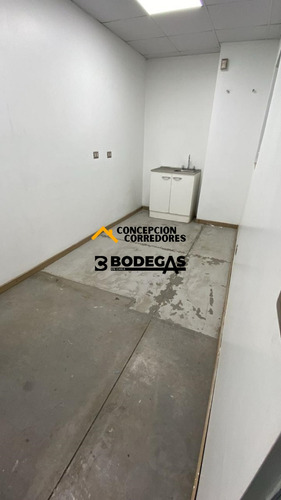 Arriendo Bodega C/of De 390 M2, Carretera San Martin.
