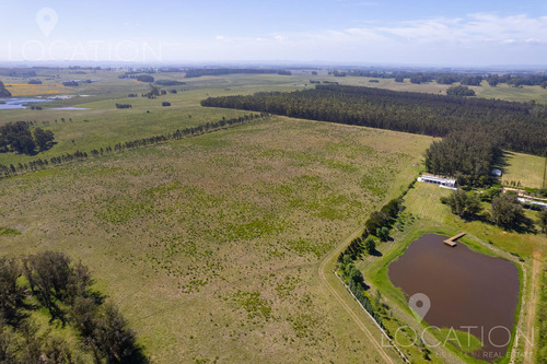 Venta Campo Con Casa 164 Hectáreas, 8 Dormitorios, Ruta 104