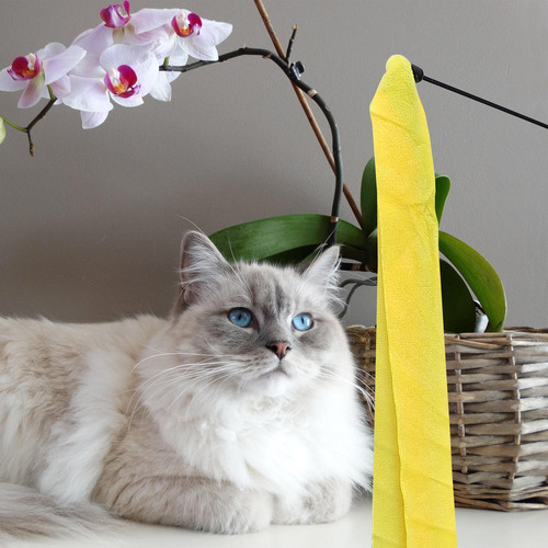 Varita Desmontable Para Gatos Con Juguetes Interactivos Para