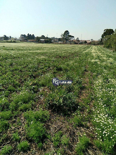Imagem 7 de 20 de Terreno À Venda, 41125 M² Por R$ 6.167.000,00 - Campo Largo Da Roseira - São José Dos Pinhais/pr - Te0085