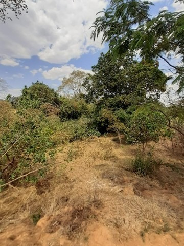 Imagem 16 de 20 de Área Rural De Santo Antônio Do Descoberto Chácara 20000m² - Meuimm318 - 68460371