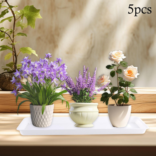 Saucers De Planta De 5 Piezas Plantillas Platillos De