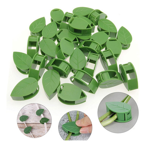 Abrazadera De Pared Autoadhesiva Para Plantas Trepadoras Inv