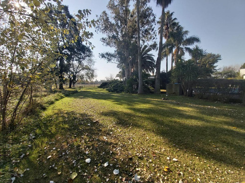 Imagen 21 de 30 de Venta Hermosa Chacra Haras Con Casco Y Mejoras En San Miguel Del Monte