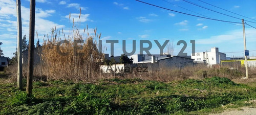 Imagen 5 de 5 de Venta De 2 Lotes De 10m X 46.28m,469m2 C/u, Total 938m2, En 133 Entre 518 Y 519.