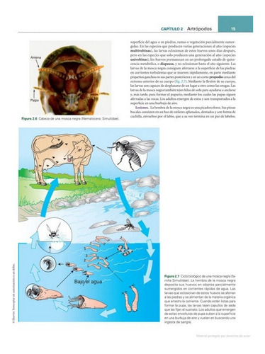 Bowman: Parasitología Para Veterinarios 11ª Ed
