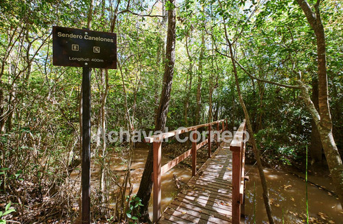 Imagen 30 de 30 de Terreno En Venta - Amarras / Puertos