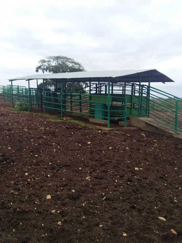 Imagen 2 de 14 de Finca 2.500 Hectáreas En Guárico, Vía El Sombrero