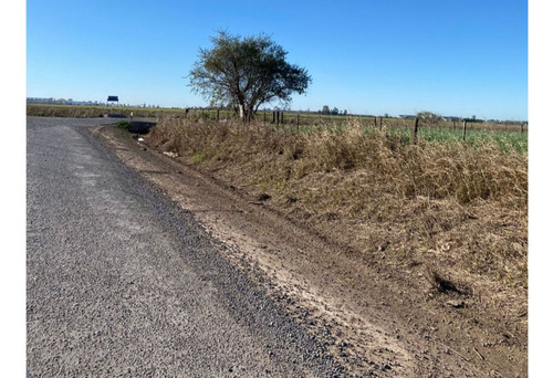 Campo 7.8hs. Rural/industrial En Timbúes Sobre Ingreso A Puertos