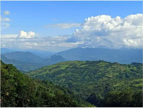 Vendo Finca De 18 Cuadras Para Ganado Y Cerdos A 15 Minutos D Fredonia