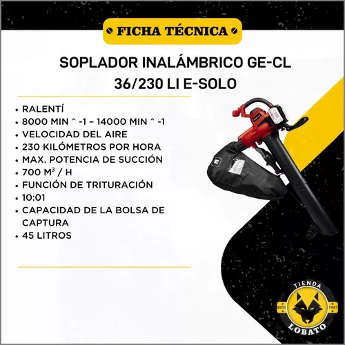 Sopladora De Hojas Inalambrica Einhell Carg 2 Baterias 4 Amp