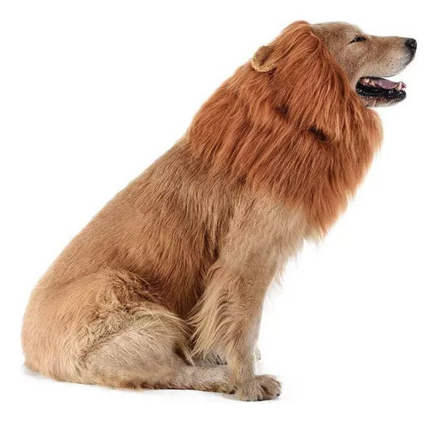 Set De Peluca De Melena De Perro Con Cola Para Halloween