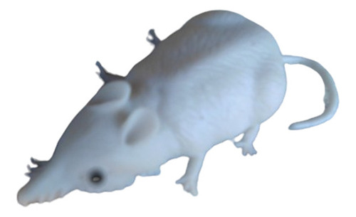 Rato Branco De Brinquedo De Borracha Átoxica 11 Cm Pim-pum