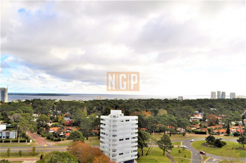 Imagen 16 de 27 de Apartamento Con Excelentes Servicios