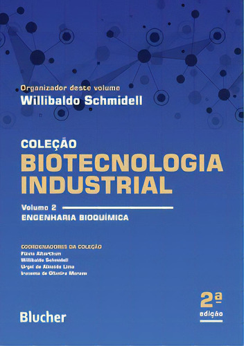 Biotecnologia Industrial: Engenharia Bioquímica, De Willibaldo Schmidell. Editora Blucher, Capa Mole Em Português, 2021