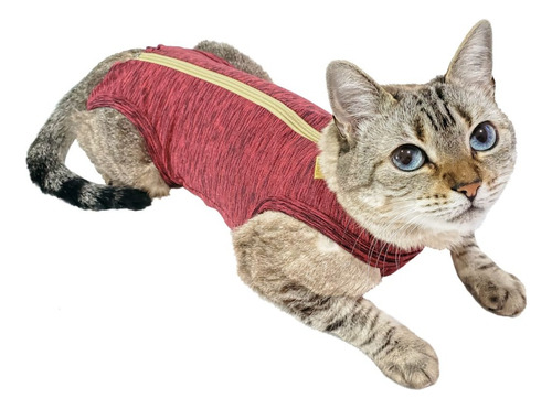 Ropa Post Quirúrgica Para Gatos Pequeños Pet Med Fit