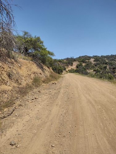 El Arrayan (94131)