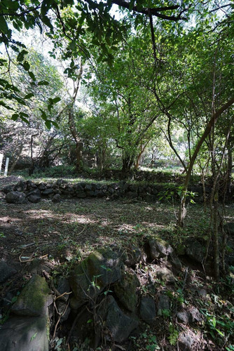 Imagen 5 de 9 de Excepcional Terreno Tepoztlán
