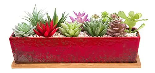 Maceta Rectangular Grande Para Suculentas Con Bandeja De Bam