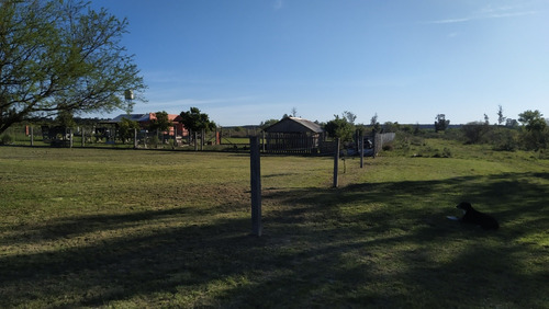 Terreno En Federación (entre Ríos)