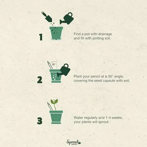 Lápices Plantables Sproutworld | Caja De Jardín | Madera | P