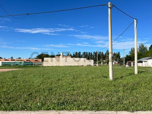 Lote En Gonnet * Barrio Don Alberto Lote En Esquina