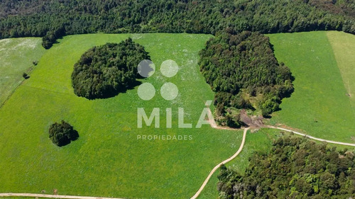 Agrícola, Ganadero Operativo. Llave En Mano. Los Muermos