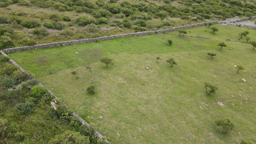 Imagen 3 de 14 de Venta 1hectareas 5907,75m2 Barcena Sobre Ruta