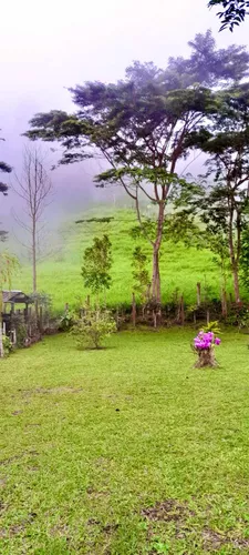 Finca En La Palma Cundinamarca