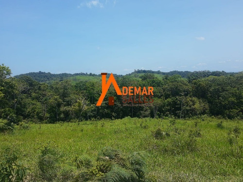 Imagem 19 de 30 de Fazenda - Fa00009 - 70715964