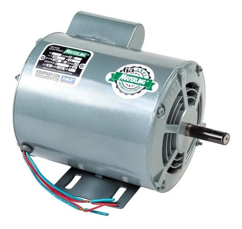 Motor Eléctrico P Bombeador Reforzado 1 Hp Mayerling B100