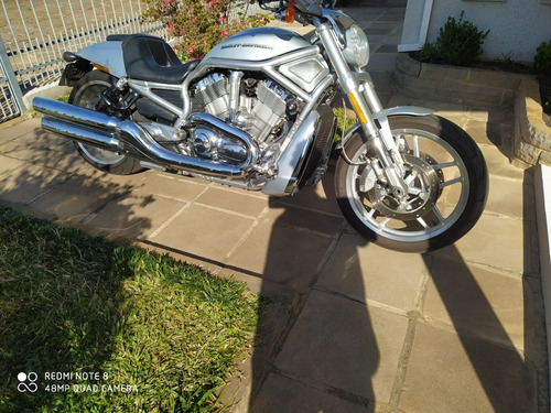 Harley Vrod Vrs Série Anive