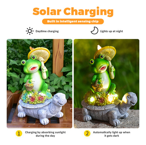 Tortuga Solar Con Rana Sentada En Un Caparazón, Bonita Camis