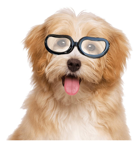 Namsan Gafas De Sol Para Perros De Raza Pequena, Lentes Uv P