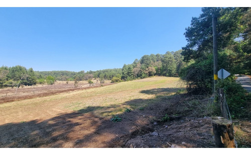 Proyecto Nuevo En Venta, Amento