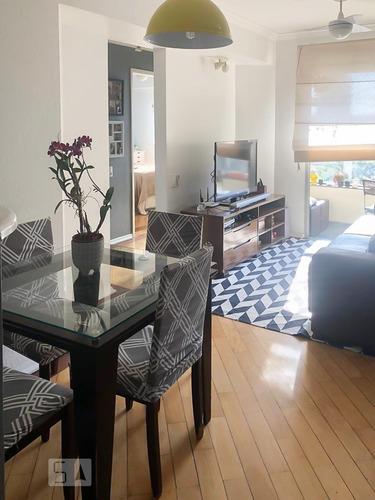 Apartamento À Venda - Vila Mascote, 3 Quartos, 64 - S893137251