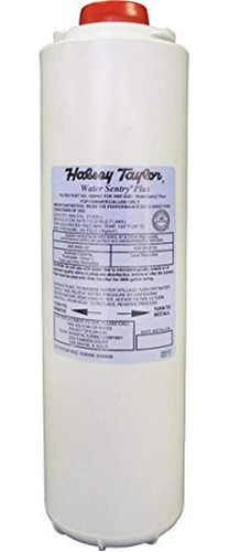 Halsey Taylor Watersentry Plus Filtro Repuesto Para Botella
