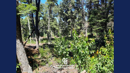Imagen 5 de 13 de Venta Lote/terreno 1517 M2 Altos De Manzano Villa La Angostura