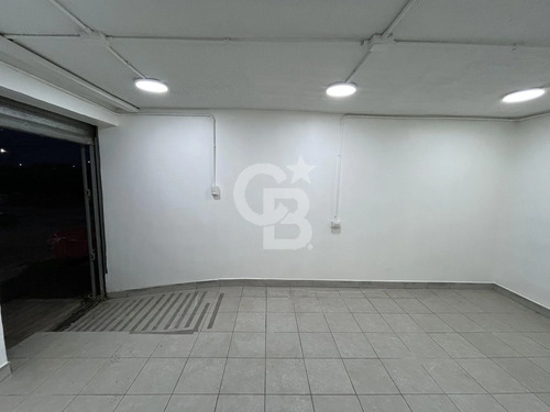 Local Comercial, Iluminación, Ubicación Y Conectividad