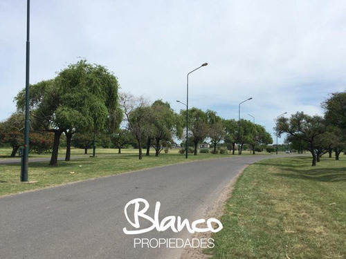 Imagen 12 de 17 de Gran Lote Perimetral Dentro Del Barrio Pilar Del Este - Santa Lucía