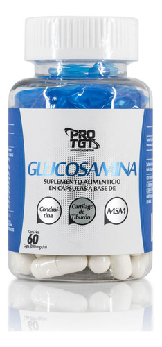 Glucosamina Condroitina Msm 60 Cápsulas Protgt