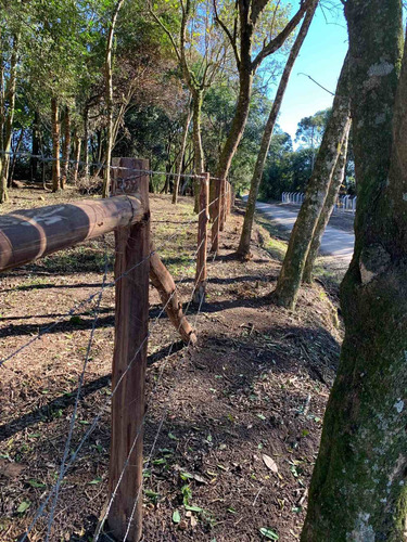 Imagem 9 de 14 de Terreno Rural - Chacrinha - Bairro Passa Dois - Lapa/pr