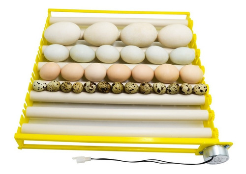 Canastilla Volteadora 56 Huevos Incubadora Gallina Pato 3rpm