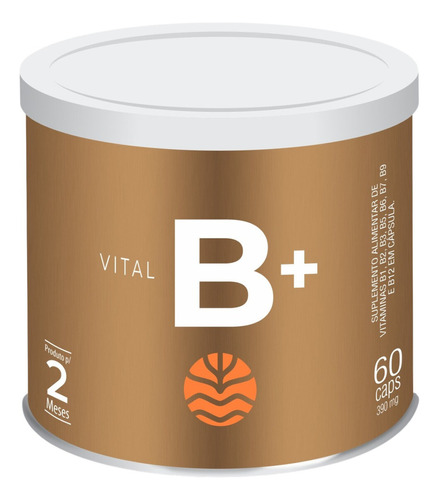 Complexo B Vital B+ Vitaminas B1 B2 B3 B5 B6 B7 B9 B12 60cap Sabor Sem Sabor