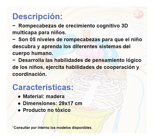Imagen 2 de 6 de Rompecabezas Multicapas Del Cuerpo Humano - 5 En 1