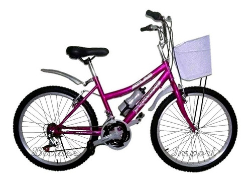 Bicicleta Dama Campera Canasta Aro 24 18v Componentes Taiwan