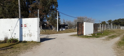 Imagen 4 de 17 de Venta De Lote Con Mejoras