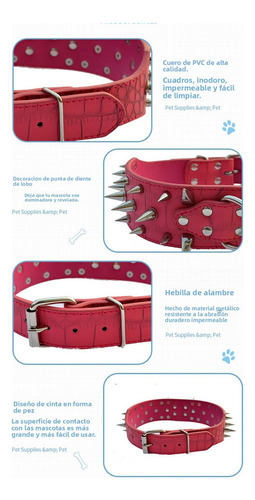 Collar Para Perro Con Picos-de Metal Cuero Con Cocodr Estilo